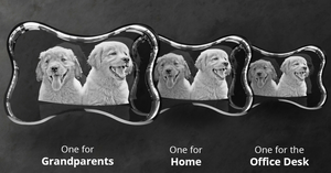 Crystal Hologram | Dog Bone