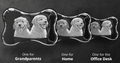 Crystal Hologram | Dog Bone
