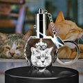 Crystal Hologram | Accessories