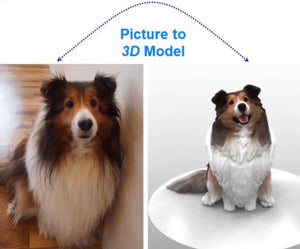 MiniMe Pets (Picture to Figurine)
